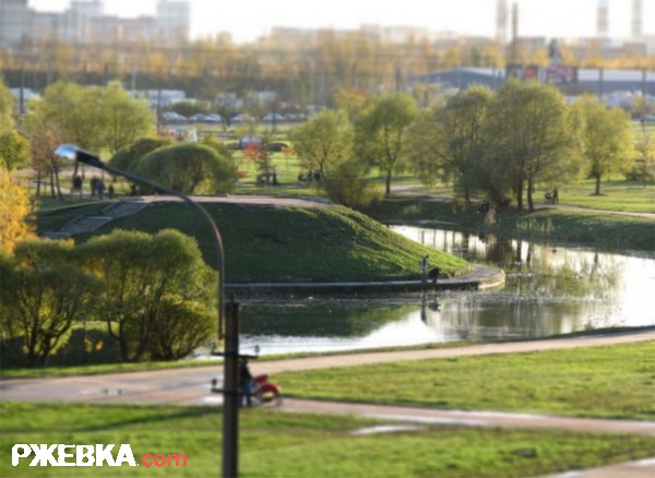 Пруд в парке