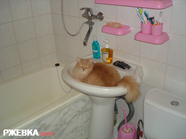 Водные процедуры Филиппа Петровича