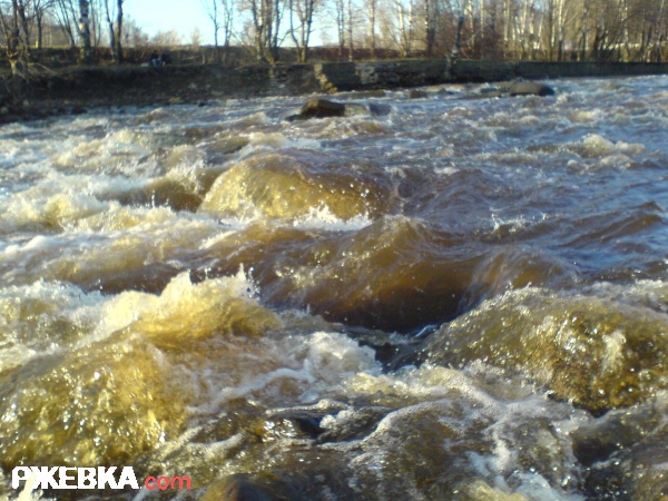 водичка