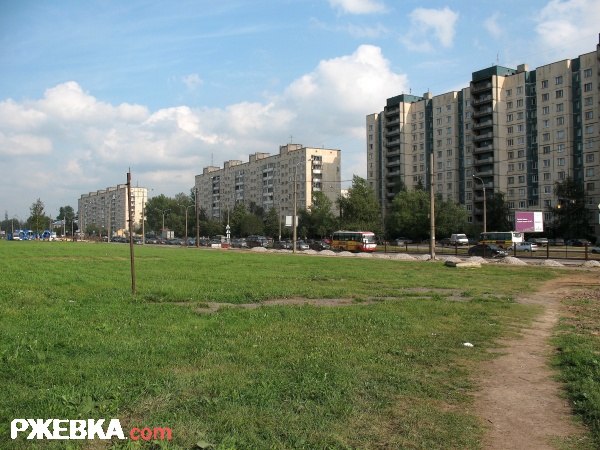 Ржевка спб. Красногвардейский район Ржевка. Питер Ржевка район. МО Ржевка. Ржевка территория.