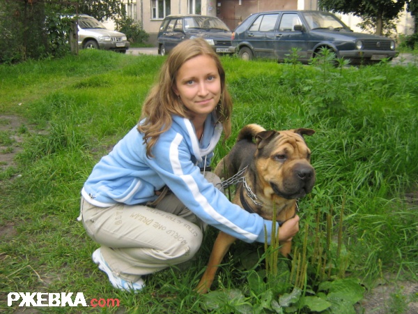 Мой любимый песик!