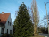 /WLADA/