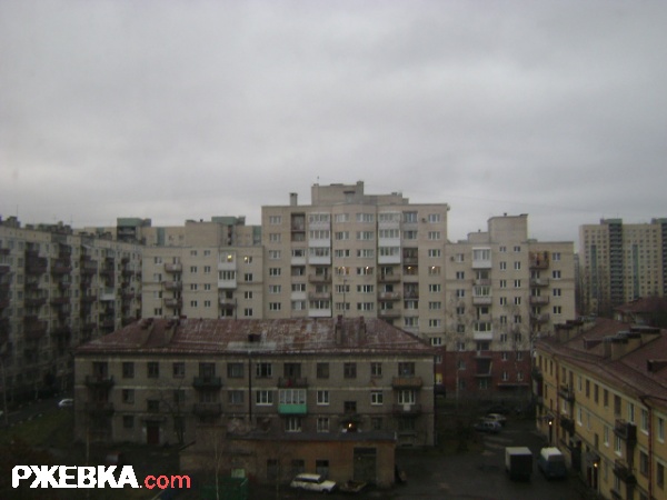 лазо 5