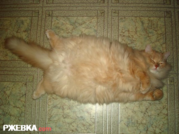 Снова я :)