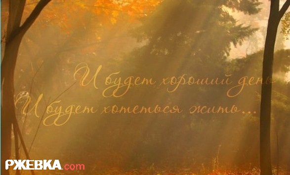 Хороший день
