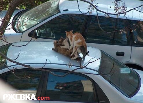 Вид из окна.........