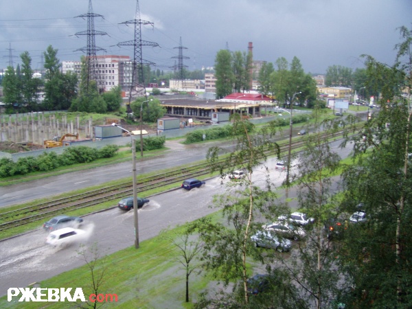 Регата