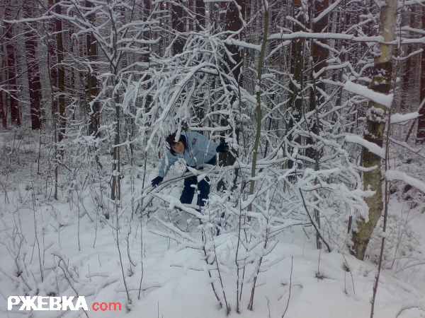 Люба