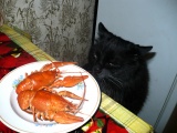 Какие раки!