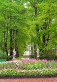 Летний сад