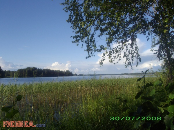 природа