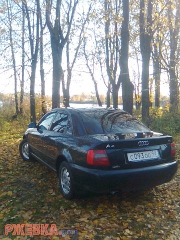 Моя