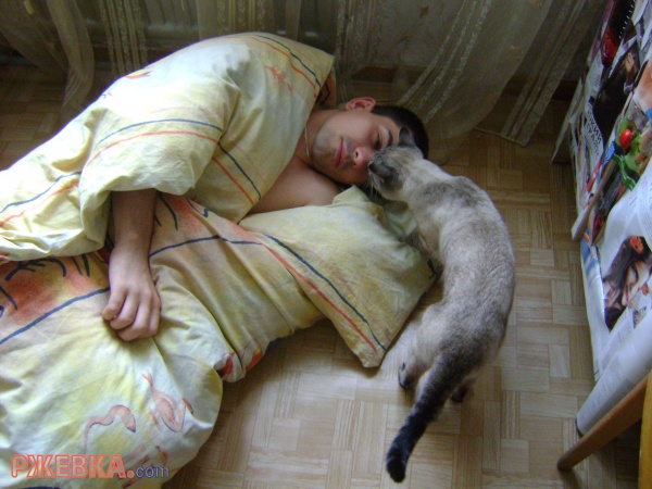 Костик